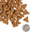 Fromm Gold with Ancient Grains Dry Dog Food - Chicken & Grains - 4lb Bag